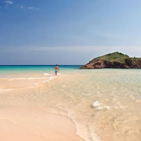 Little Kaidi * 셀라기우스